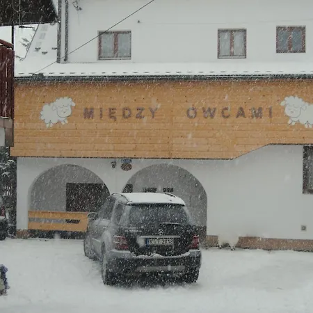 Apartamento Miedzy Owcami Sromowce Wyzne