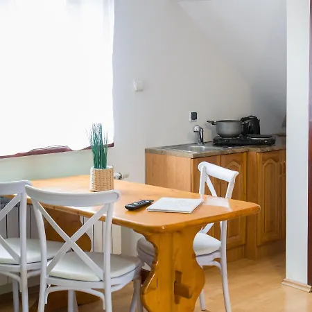 アパート Miedzy Owcami スロモフツェ・ビジネ