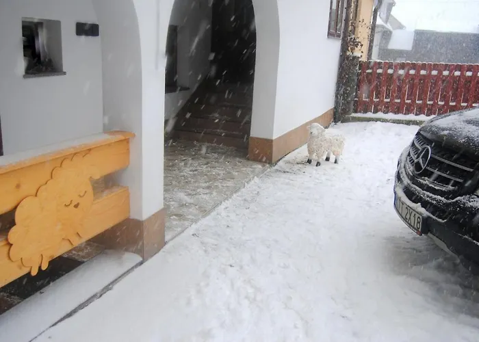 Miedzy Owcami Sromowce Wyzne